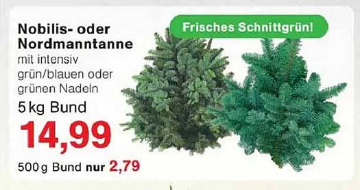 Nobilis- oder Nordmanntanne 5 kg Bund