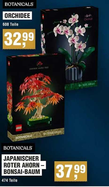Orchidee – LEGO Botanicals mit 608 Teilen