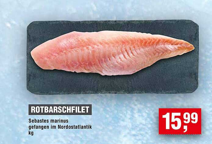 ROTBARBSCHFILLET - Sebastes marinus gefangen im Nordostatlantik