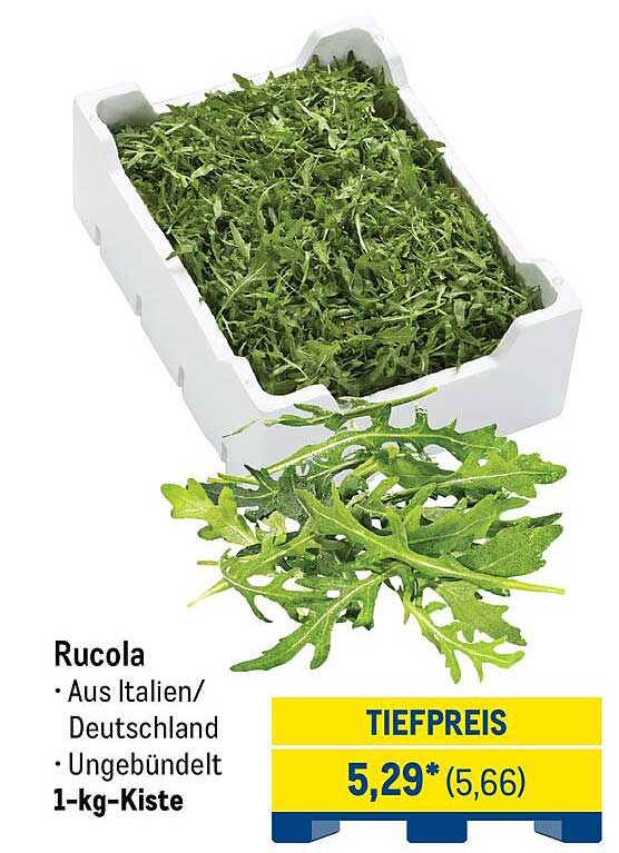 Rucola aus Italien/Deutschland - 1-kg-Kiste