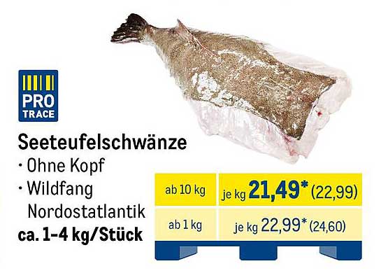 Seeteufelschänze - Ohne Kopf - Wildfang Nordostatlantik