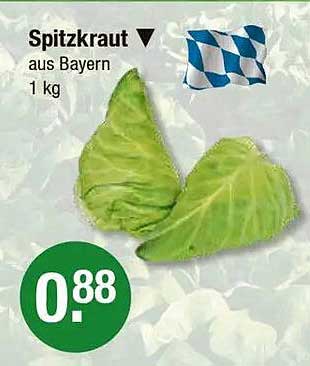Spitzkraut aus Bayern - 1 kg
