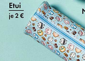 Stylisches Etui für nur 2 €