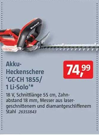 Akku-Heckenschere 'GC-CH 1855/1 Li-Solo'*