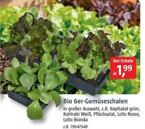 Bio 6er-Gemüseschalen