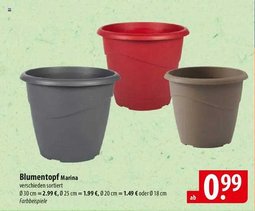 Blumentopf Marina