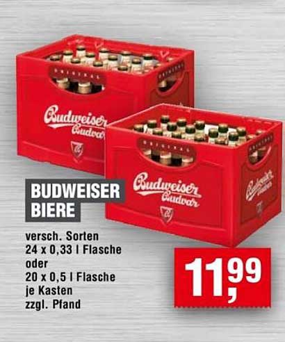 BUDWEISER BIERE - 24 x 0,33 l oder 20 x 0,5 l Flasche