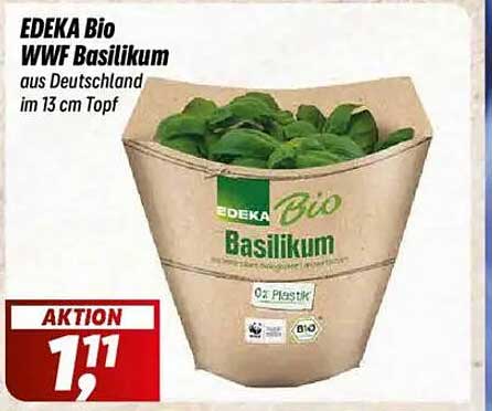 EDEKA Bio WWF Basilikum aus Deutschland im 13 cm Topf