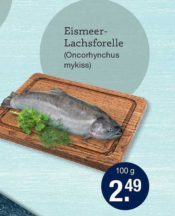 Eismeer-Lachsforelle (Oncorhynchus mykiss)
