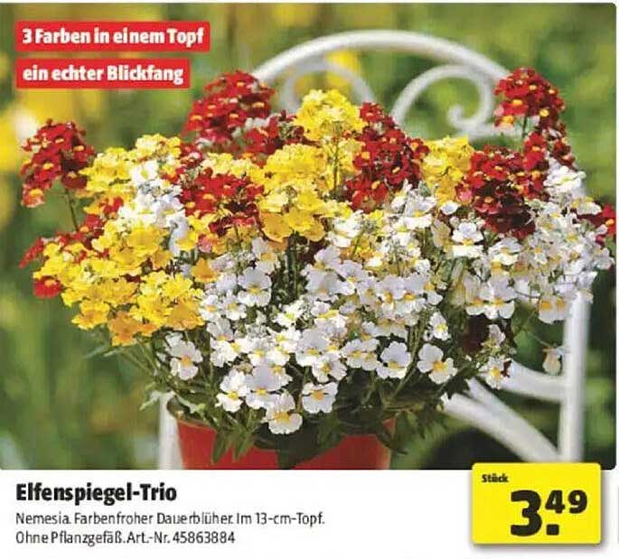 Elfenpsiegel-Trio