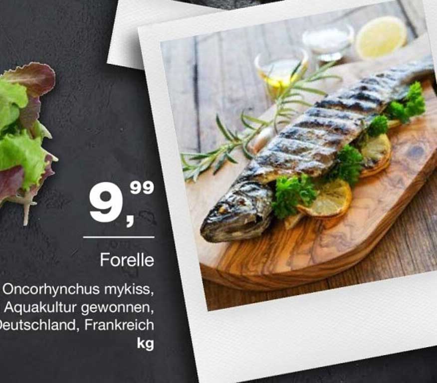 Forelle - Oncorhynchus mykiss, Aquakultur gewonnen aus Deutschland, Frankreich