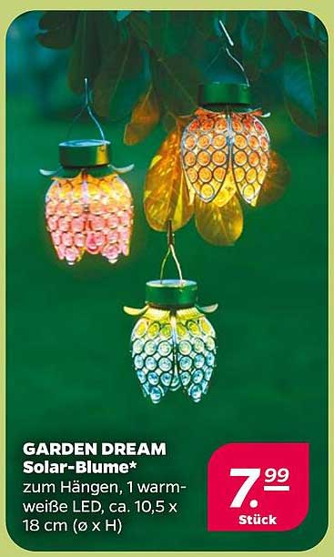 GARDEN DREAM Solar-Blume*