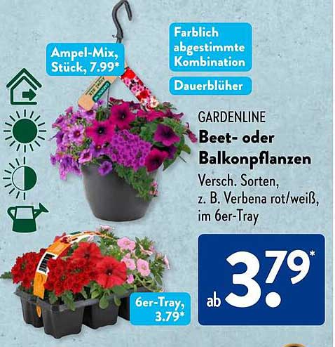 GARDENLINE Beet- oder Balkonpflanzen - Verschiedene Sorten ab 3,79*