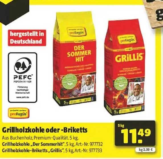 Grillholzohlen oder -Briketts, 5 kg, Der Sommerhit oder Grillis