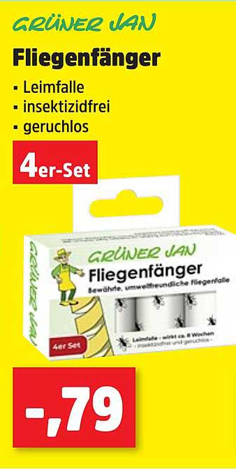 GRÜNER JAN Fliegenfänger - 4er-Set