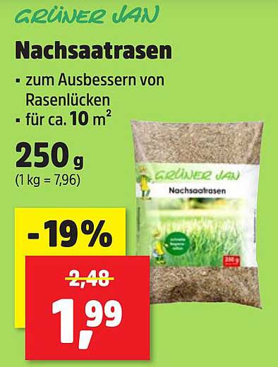 GRÜNER JAN Nachsaatrasen 250 g