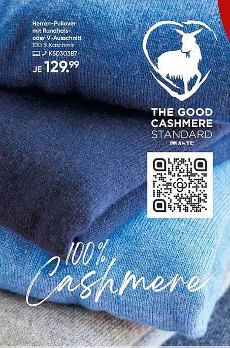 Herren-Pullover mit Rundhals- oder V-Ausschnitt 100 % Kaschmir