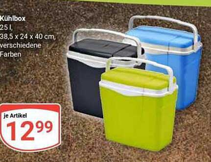 Kühlbox 25 l – Ideale Begleiter für Sommerausflüge