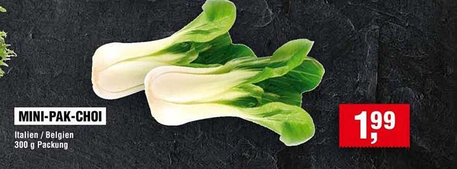 MINI-PAK-CHOI - Italien / Belgien, 300 g Packung