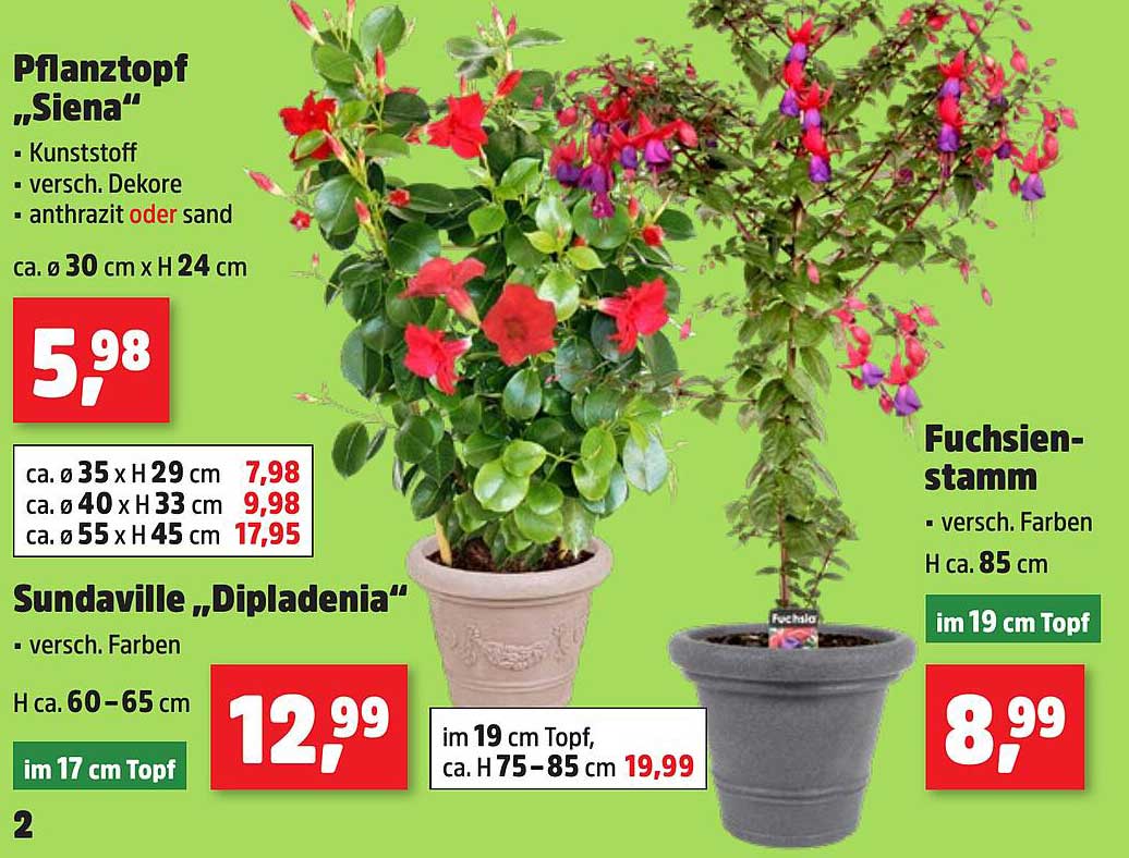 Pflanztopf „Siena“ - Kunststoff in verschiedenen Dekoren