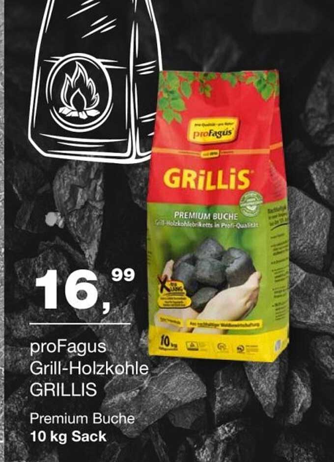 proFagus Grill-Holzkohle GRILLIS Premium Buche 10 kg Sack