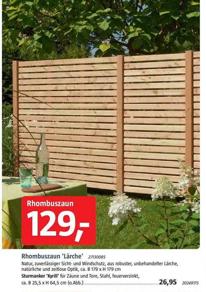 Rhombuszaun 'Lärche'