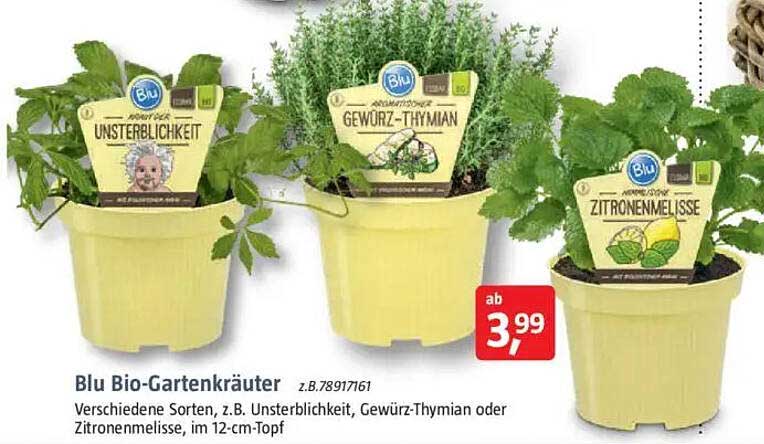 Blu Bio-Gartenkräuter