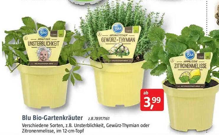 Blu Bio-Gartenkräuter