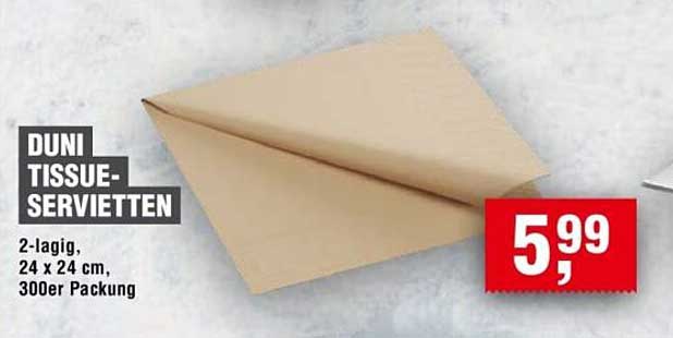 DUNI TISSUE-SERVIETTEN - 2-lagig, 24 x 24 cm, 300er Packung