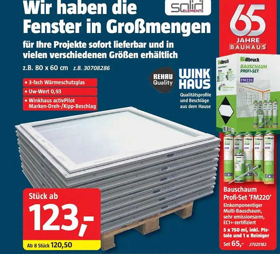 Fenster in verschiedenen Größen – Ab 8 Stück nur 120,50 €
