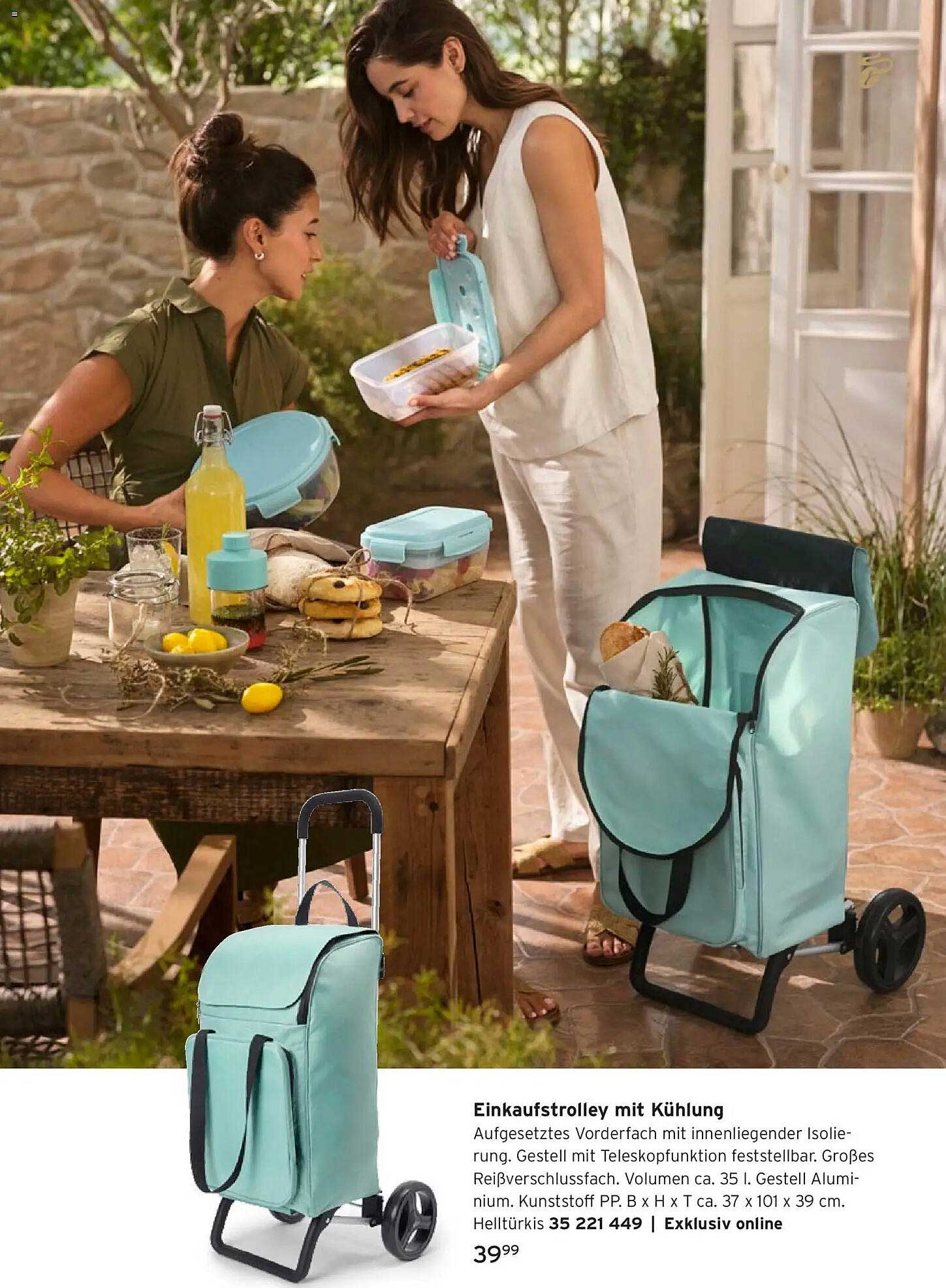 Einkaufstrolley mit Kühlung