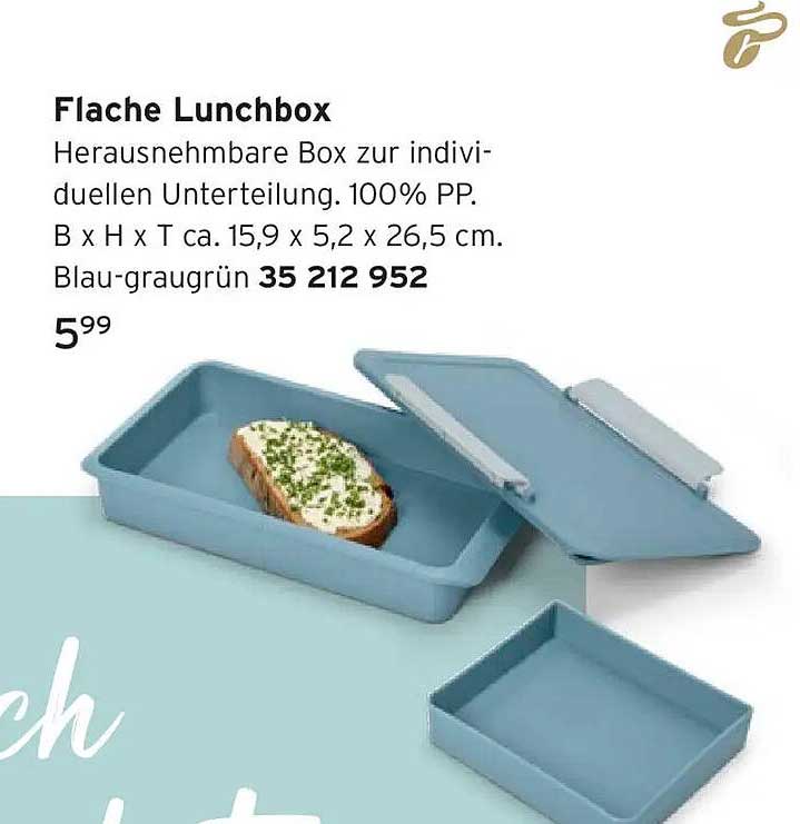 Flache Lunchbox