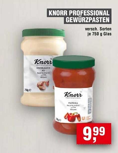 KNORR PROFESSIONAL GEWÜRZPASTEN