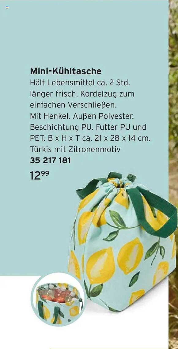 Mini-Kühltasche