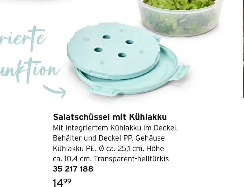 Salatschüssel mit Kühlakku