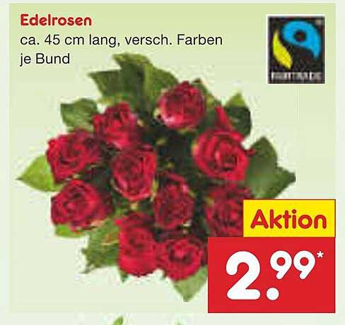 Edelrosen - ca. 45 cm lang, verschiedene Farben je Bund