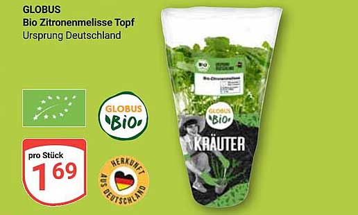 GLUBUS Bio Zitronenmelisse Topf