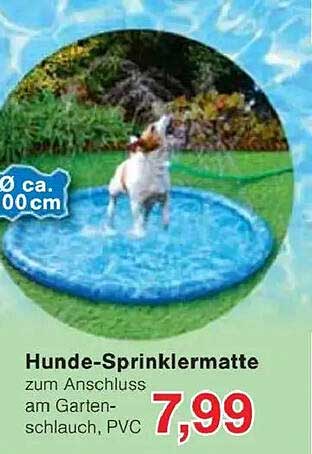 Hunde-Sprinklermatte zum Anschluss am Gartenschlauch, PVC