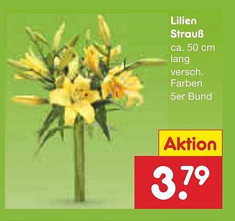 Lilien Strauß - 5er Bund