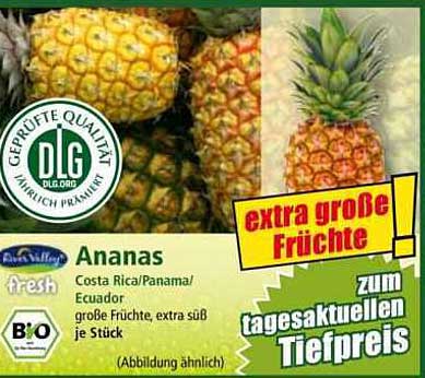 Ananas - extra große Früchte zum tagesaktuellen Tiefpreis!