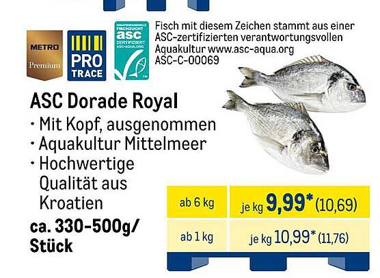 ASC Dorade Royal - Mit Kopf, ausgenommen