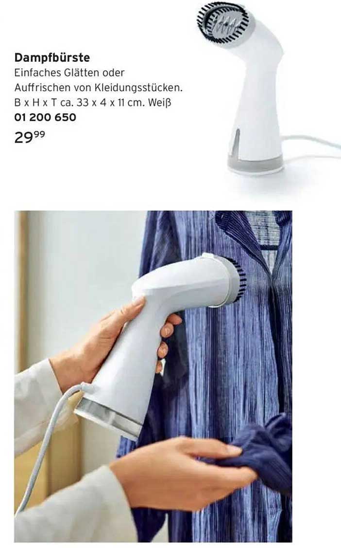 Dampfbürste