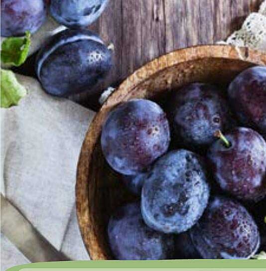 Frische Pflaumen - Saftig und Lecker