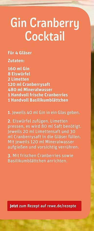 Gin Cranberry Cocktail – Einfach zubereitet für gesellige Abende!