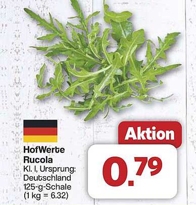 HofWerke Rucola 125-g-Schale