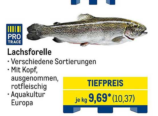 Lachsforelle - Verschiedene Sortierungen mit Kopf, ausgenommen, rotfleischig