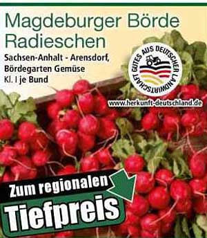 Magdeburger Börde Radieschen