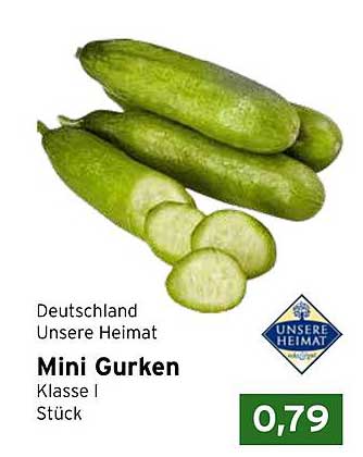 Mini Gurken Klasse I aus Deutschland