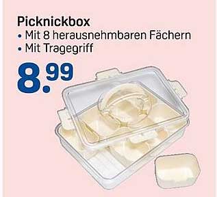 Picknickbox mit 8 herausnehmbaren Fächern und Tragegriff