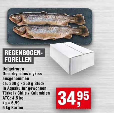 REGENBOGEN-FORELLEN - Tiefgefroren, Oncorhynchus mykiss, Aquakultur